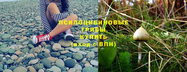 эйфоретик Алзамай
