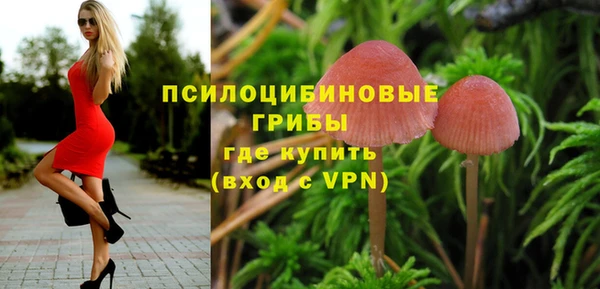 кокс Алексин
