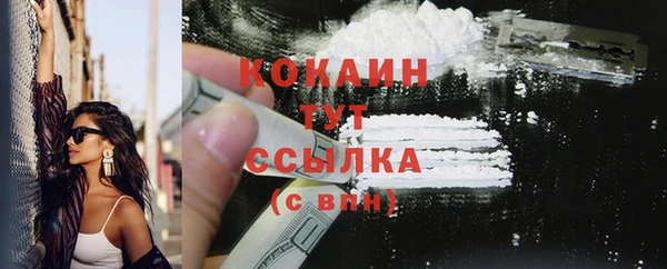 кокс Алексин